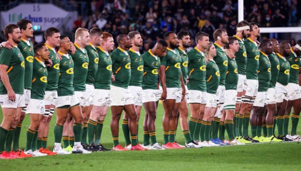 Les Springboks ne sont pas «chargés» d’«attentes» de champions en titre de la Coupe du monde de rugby